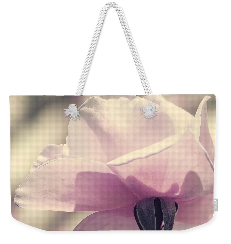  Weekender Tote Bag featuring the photograph Lilac Beauty of Rose by The Art Of Marilyn Ridoutt-Greene