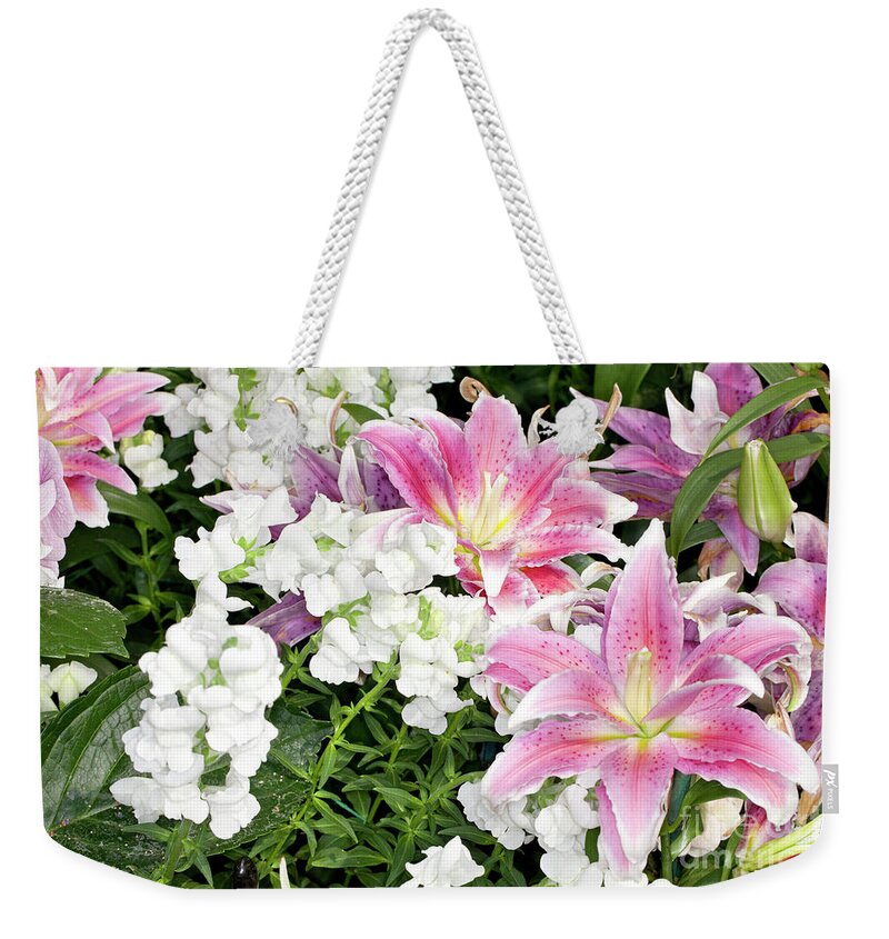 Pink Weekender Tote Bag featuring the photograph Lilies and Snapdragons by Anthony Totah