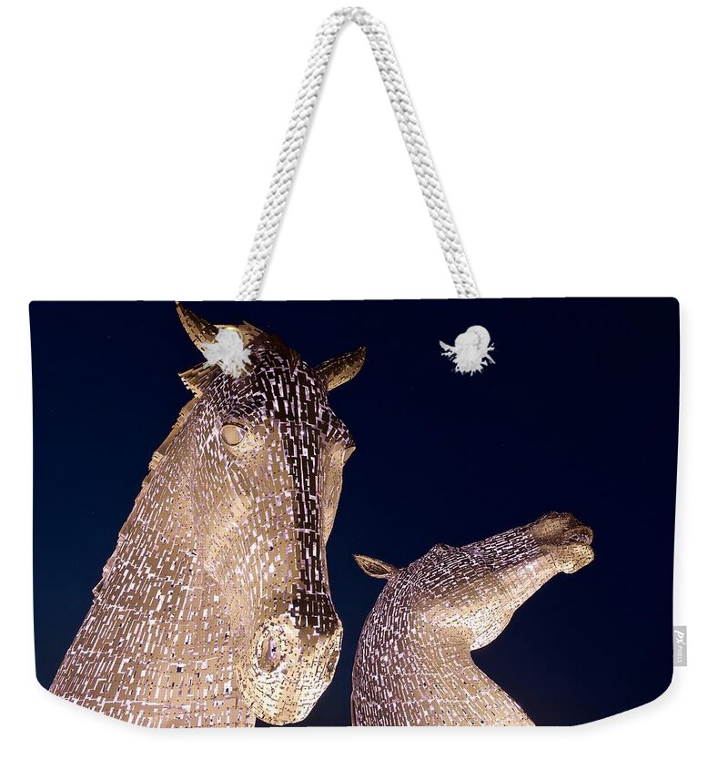 Kelpies Weekender Tote Bag featuring the photograph Lillac heads by Stephen Taylor