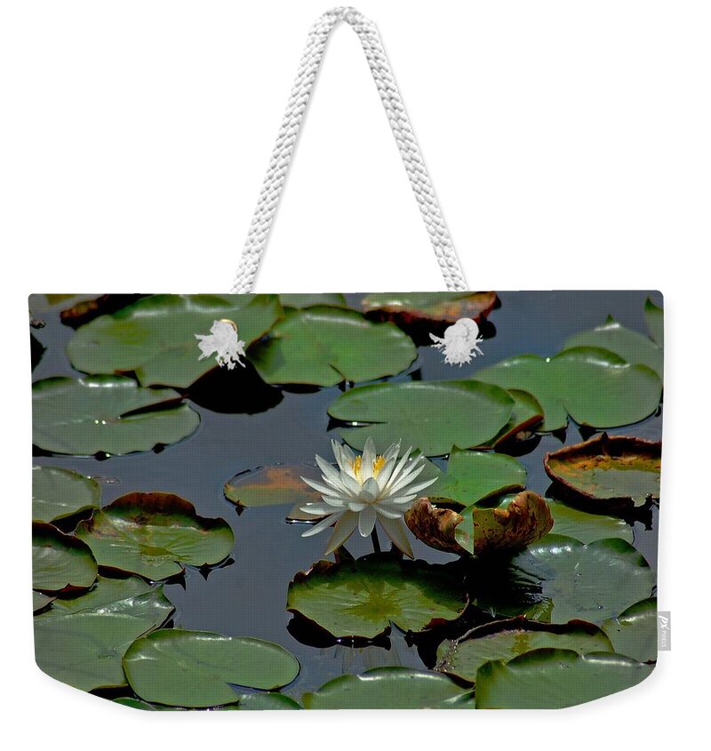 Sunflowers Weekender Tote Bag featuring the painting Lilly on the Pad by Michael Thomas