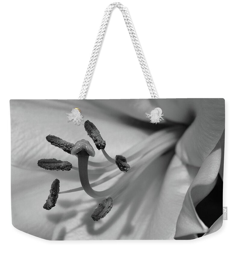 Flowers Weekender Tote Bag featuring the photograph Lily in Black and White by Cindy Manero
