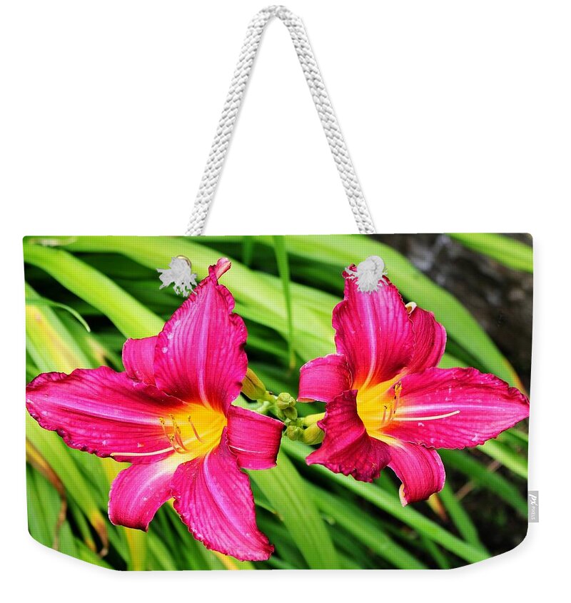 Lily Weekender Tote Bag featuring the photograph Lily by Jackie Russo