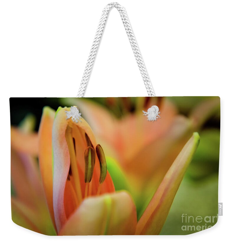 Flower Weekender Tote Bag featuring the photograph Lily by Mariusz Talarek