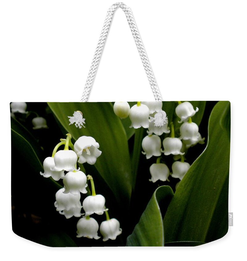 Lily Of The Valley Weekender Tote Bag featuring the painting Lily of the Valley by Renate Wesley