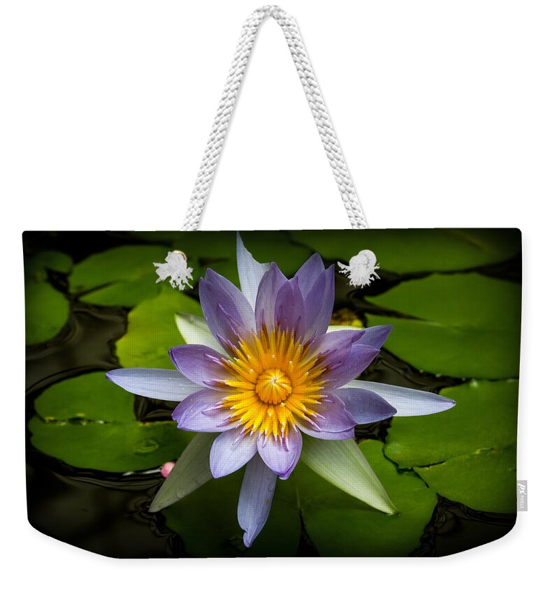 Bonnie Follett Weekender Tote Bag featuring the photograph Lily Queen of the Pond by Bonnie Follett