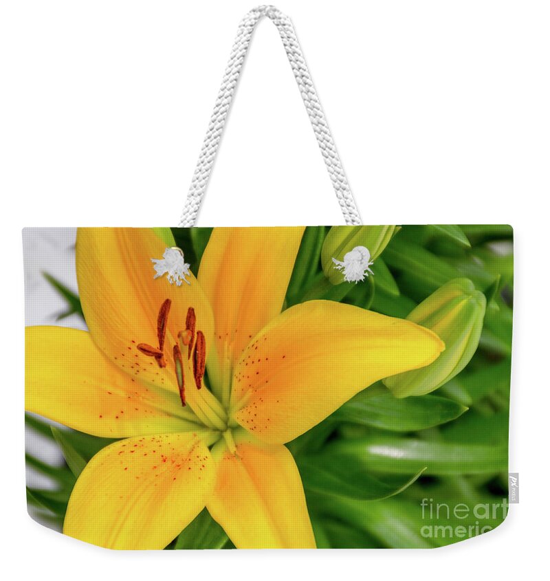 Lily Weekender Tote Bag featuring the photograph Lily by William Norton