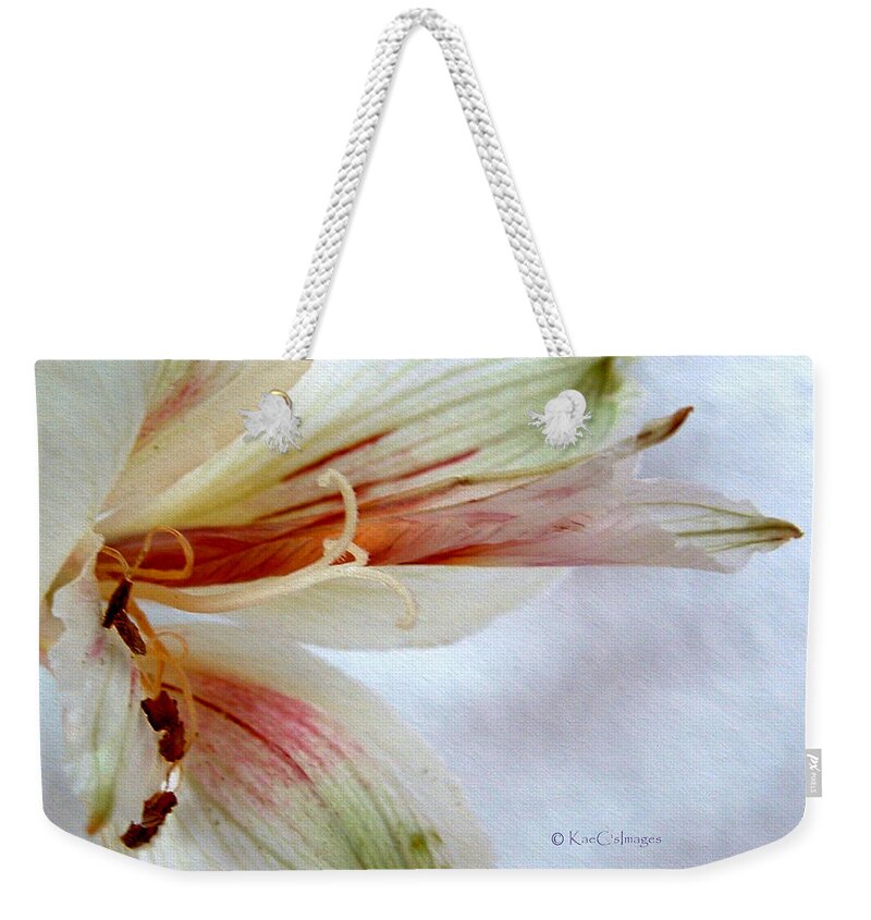 Lily Weekender Tote Bag featuring the photograph Lily with Texture by Kae Cheatham