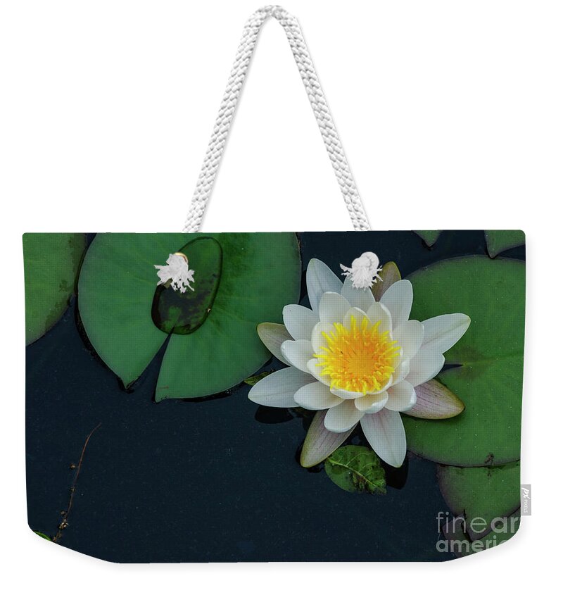 Lilypad Weekender Tote Bag featuring the photograph Lilypad by Debra Fedchin