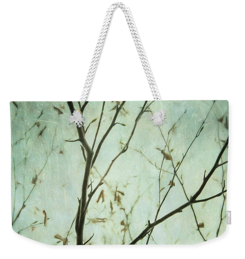 Twigs Weekender Tote Bag featuring the photograph Limbs of a tree 5 by Priska Wettstein