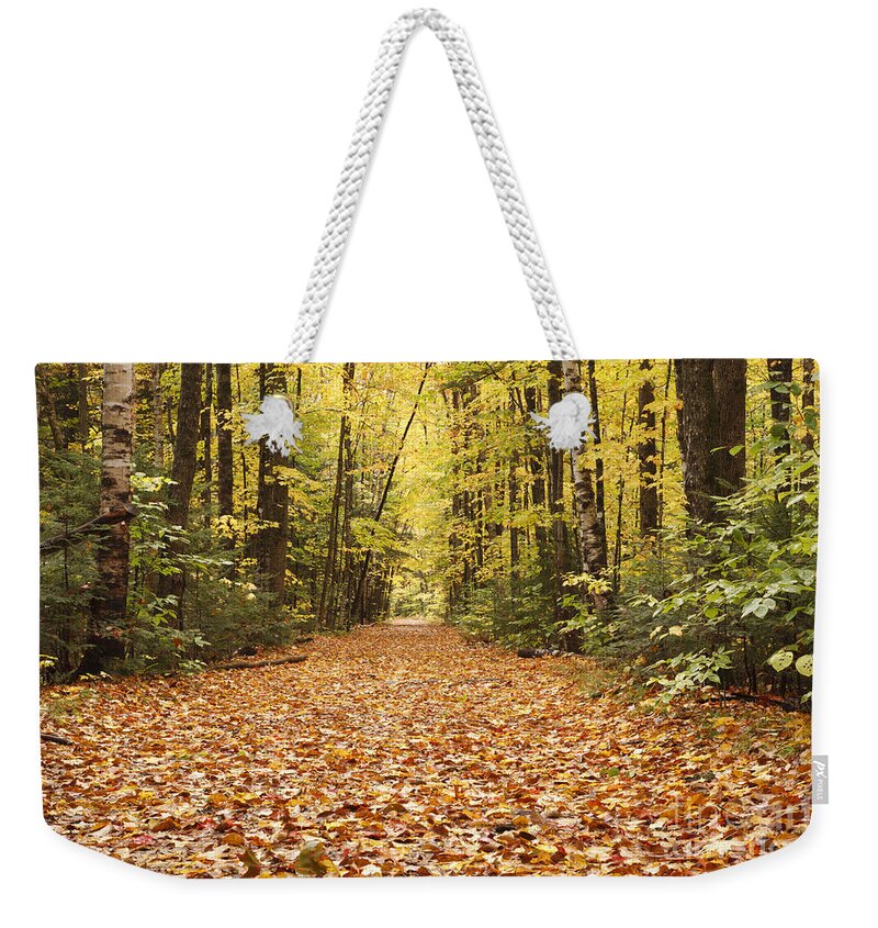 White Mountain National Forest Weekender Tote Bag featuring the photograph Lincoln Woods Trail - White Mountains New Hampshire by Erin Paul Donovan