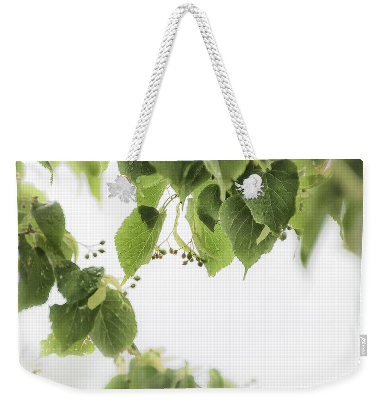Linden Leaves Weekender Tote Bag featuring the photograph Linden in the Rain 2 - by Julie Weber
