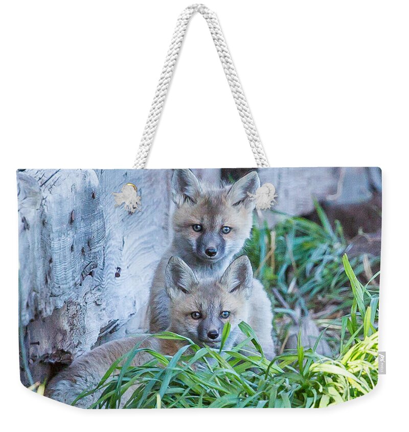  Weekender Tote Bag featuring the photograph Line Up by Kevin Dietrich