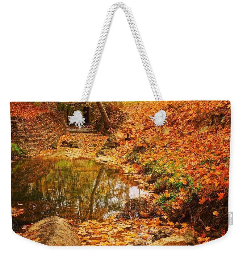 Weekender Tote Bag featuring the photograph Lineberger Park 6 by Rodney Lee Williams