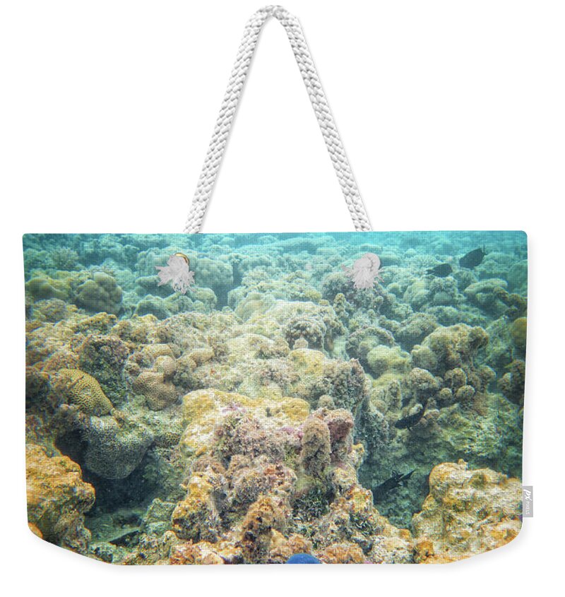 Coral Reef Weekender Tote Bag featuring the photograph Linkia Love by Becqi Sherman