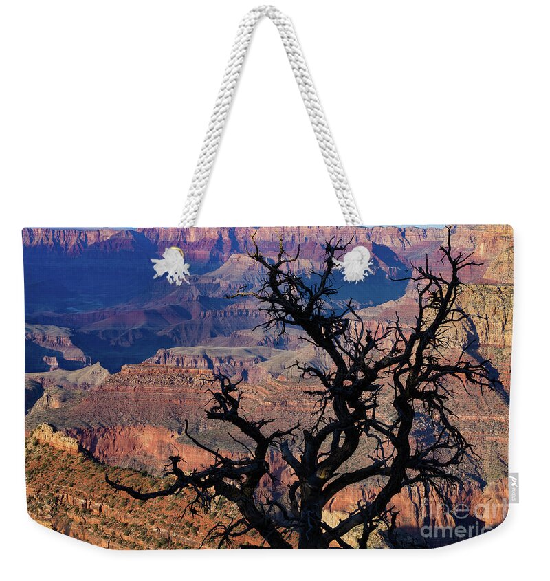 Grand Canyon National Park Weekender Tote Bag featuring the photograph Lipan Overlook Grand Canyon 1 by Jerry Fornarotto