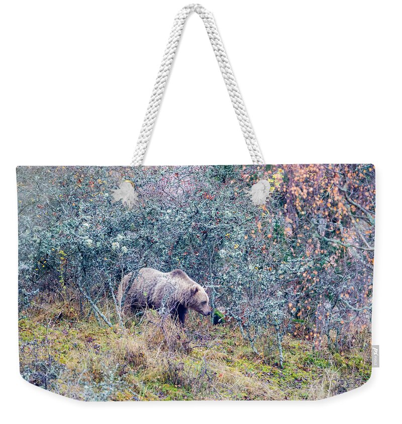 Bear Weekender Tote Bag featuring the photograph Listening Bear by Torbjorn Swenelius