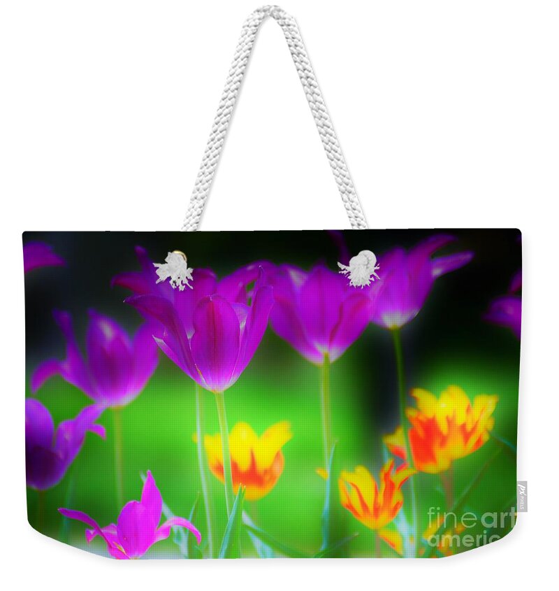 Flowers Weekender Tote Bag featuring the photograph Lite from Below by Merle Grenz