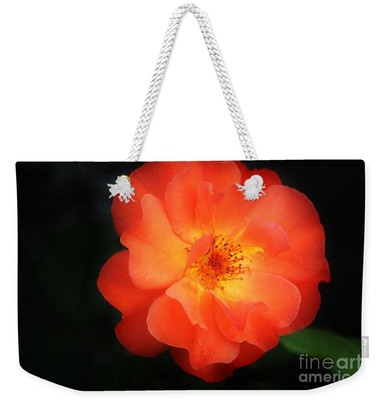Flower Weekender Tote Bag featuring the photograph Lite up by Merle Grenz