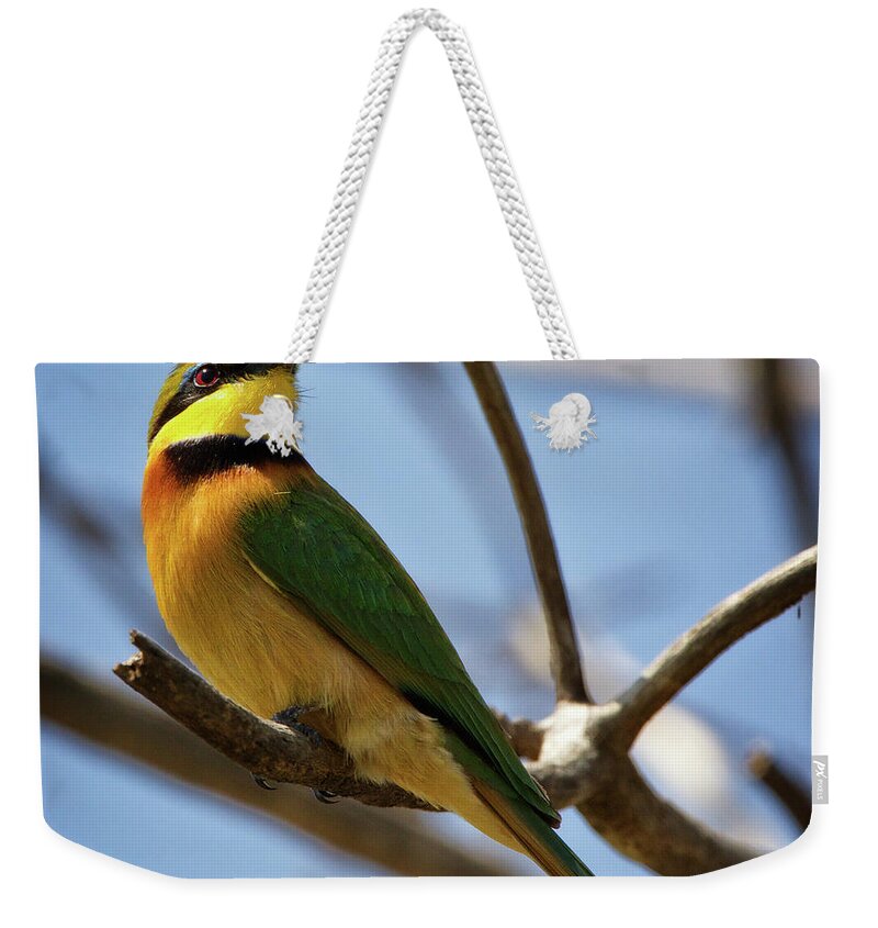 Birds Weekender Tote Bag featuring the photograph Little Bee Eater by Steven Upton