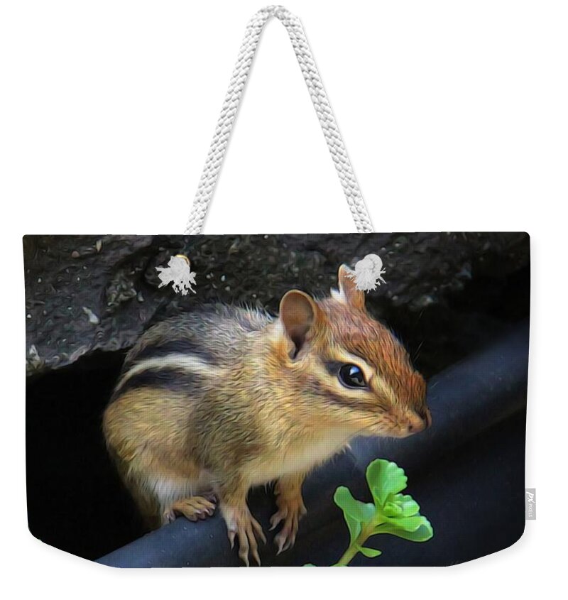 Nature Weekender Tote Bag featuring the photograph Little Chipmunk by Yvonne Wright