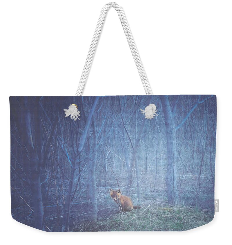 Little Weekender Tote Bag featuring the photograph Little Fox in the Woods by Carrie Ann Grippo-Pike