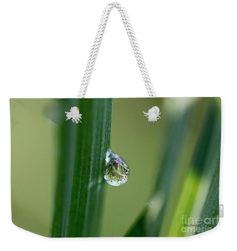Droplets Weekender Tote Bag featuring the photograph Little garden in the droplet by Yumi Johnson