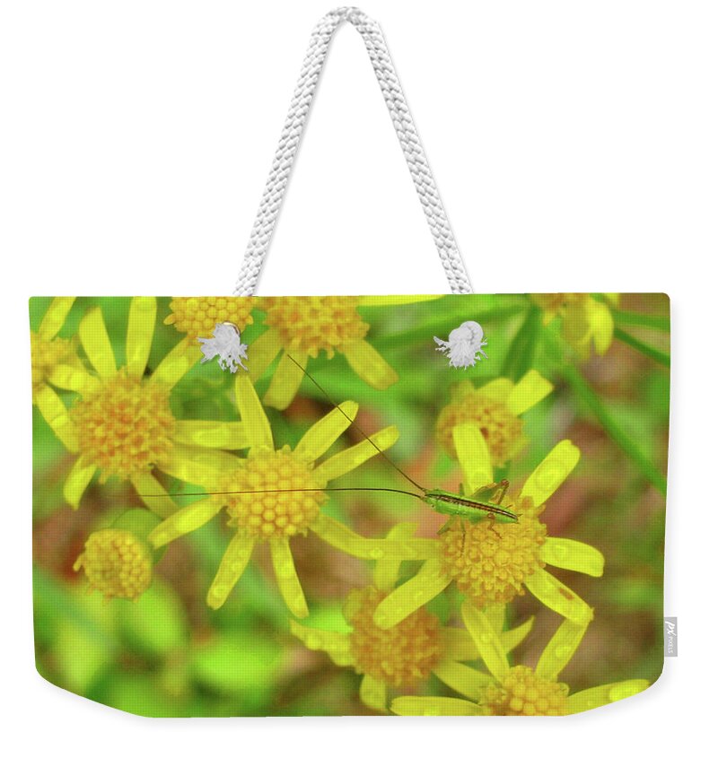 Flowers Weekender Tote Bag featuring the photograph Little Grasshopper by Donna Brown