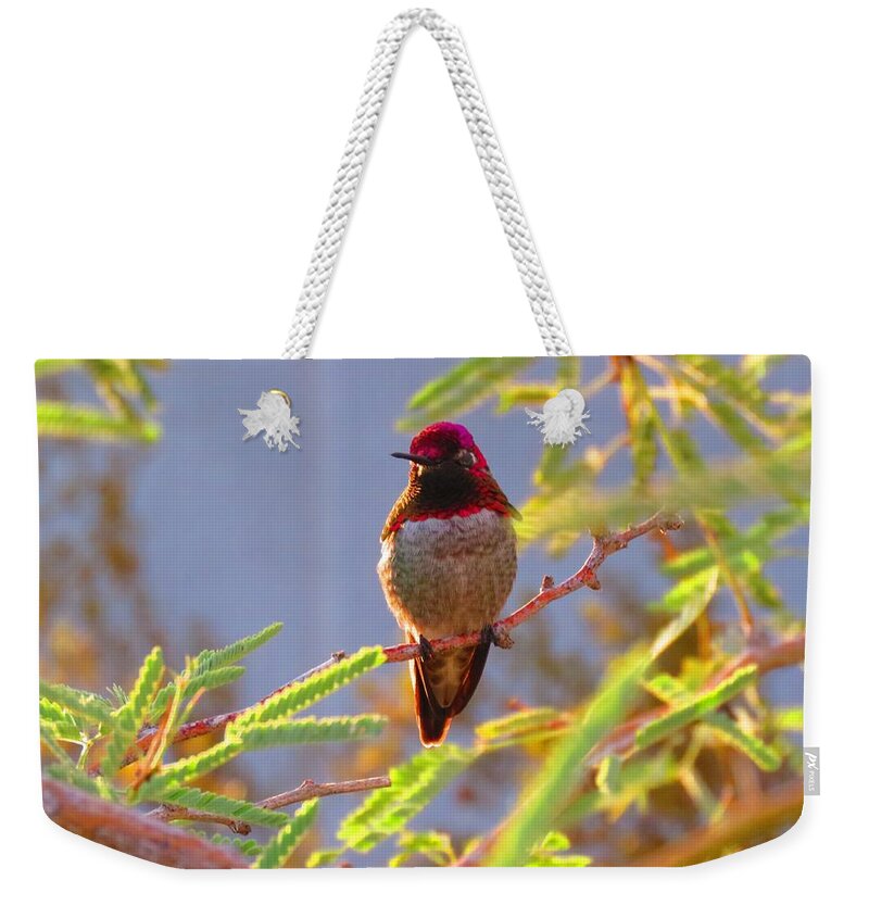  Arizona Weekender Tote Bag featuring the photograph Little Jewel with Wings Third Version by Judy Kennedy