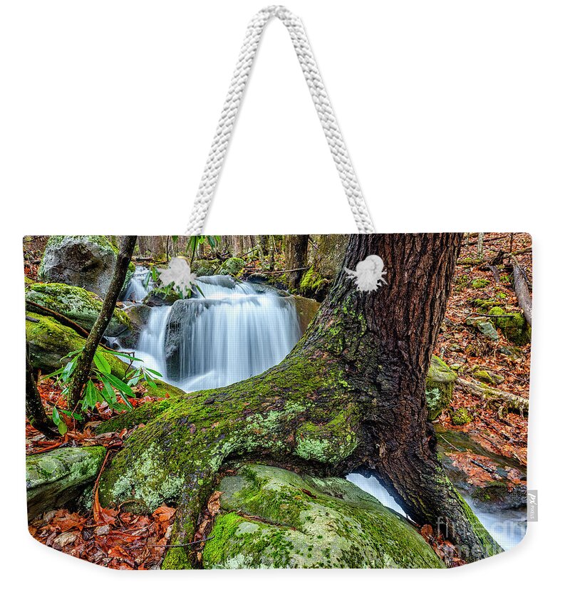 Little Laurel Branch Weekender Tote Bag featuring the photograph Little Laurel Branch Waterfall by Thomas R Fletcher