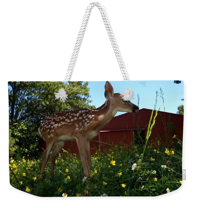 Deer Weekender Tote Bag featuring the photograph Little Lochem by Bill Stephens
