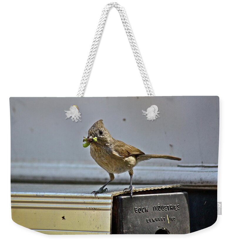 Birds Weekender Tote Bag featuring the photograph Little Mother by Diana Hatcher