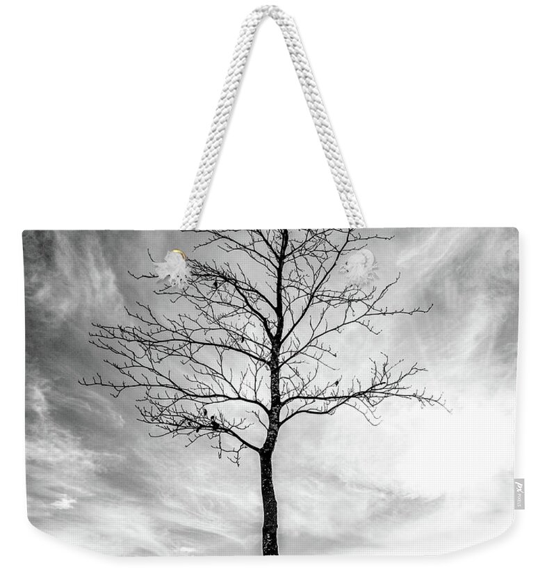Tree Weekender Tote Bag featuring the photograph Little Tree by Roseanne Jones
