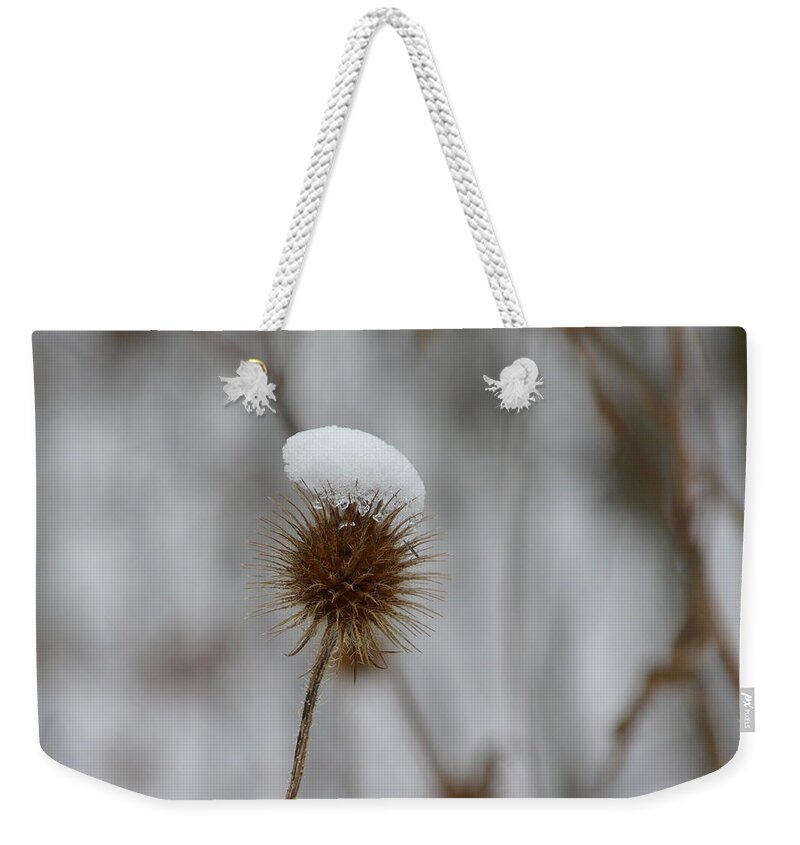 Winter Weekender Tote Bag featuring the photograph Little White Hood by Valerie Ornstein