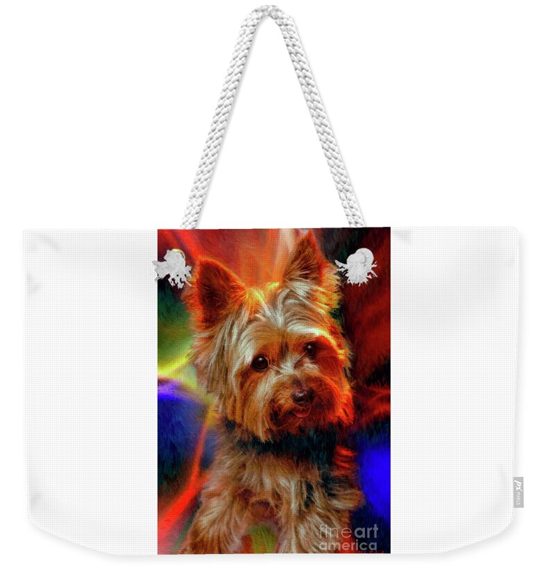  Weekender Tote Bag featuring the photograph Little Yorkie by Blake Richards