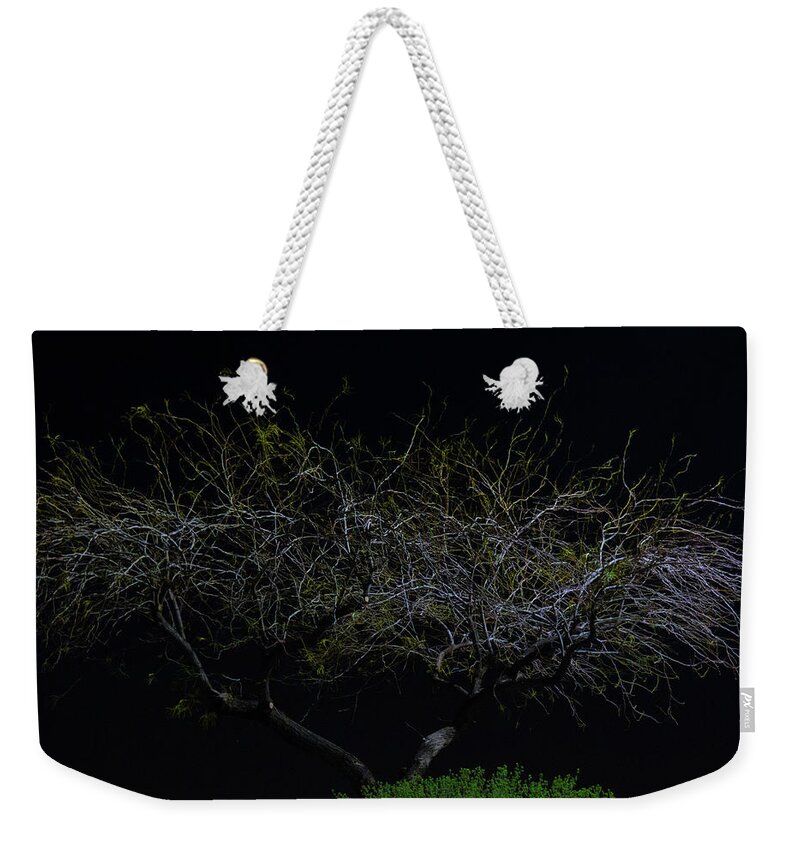 Orcinusfotograffy Weekender Tote Bag featuring the photograph Siren In The Dark by Kimo Fernandez