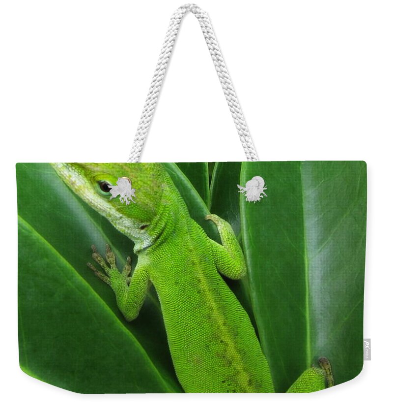 Lizard Weekender Tote Bag featuring the photograph Lizard by Beth Vincent