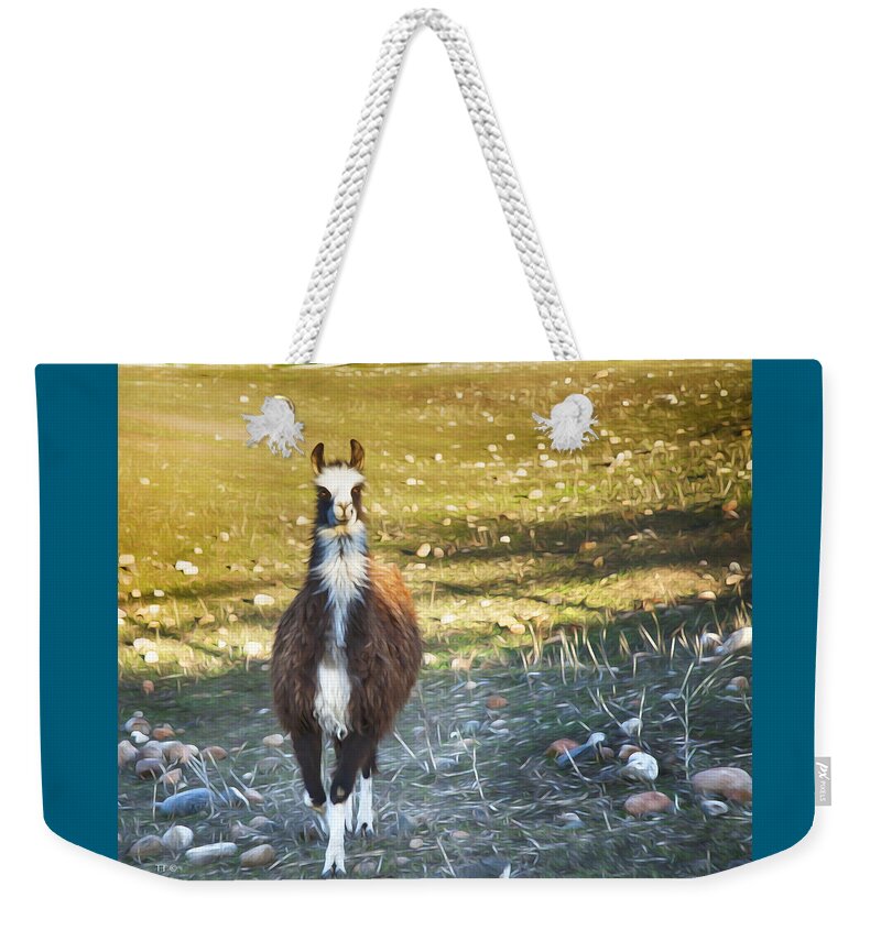 Ungulate Weekender Tote Bag featuring the photograph Llama Cuteness by Theresa Tahara