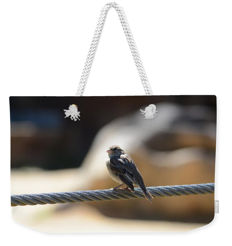 Bird Weekender Tote Bag featuring the photograph The Sentry by Chuck Brown