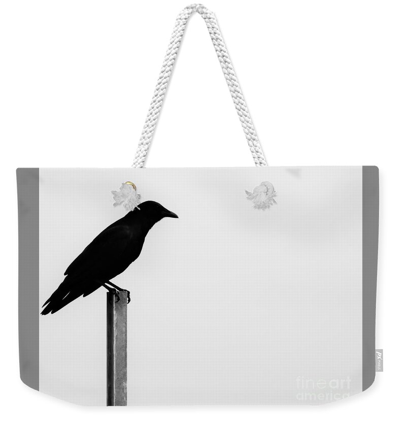 Bird Weekender Tote Bag featuring the photograph Lone Bird by Jan Gelders