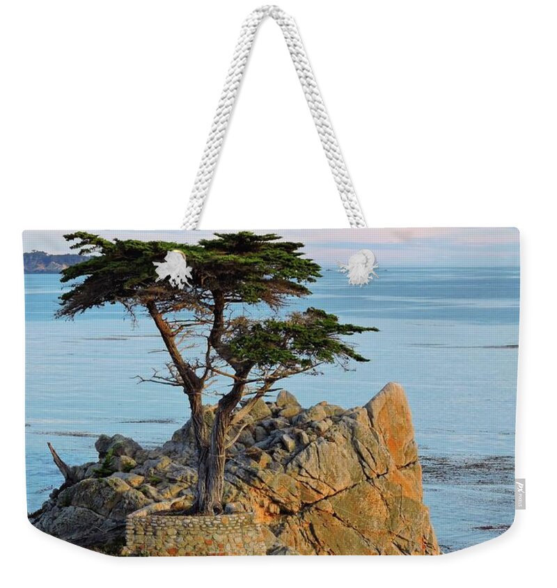 Lone Weekender Tote Bag featuring the photograph Lone Cypress by Connor Beekman