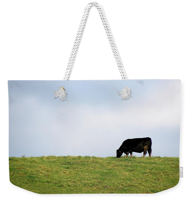 Cow Weekender Tote Bag featuring the photograph Lone Grazer by Deborah Crew-Johnson