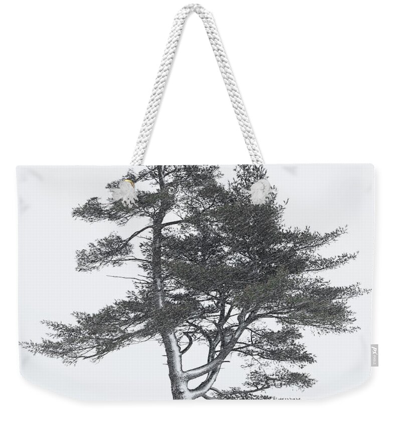Pine Tree Weekender Tote Bag featuring the photograph Lone Pine in Winter Storm by Barbara McMahon