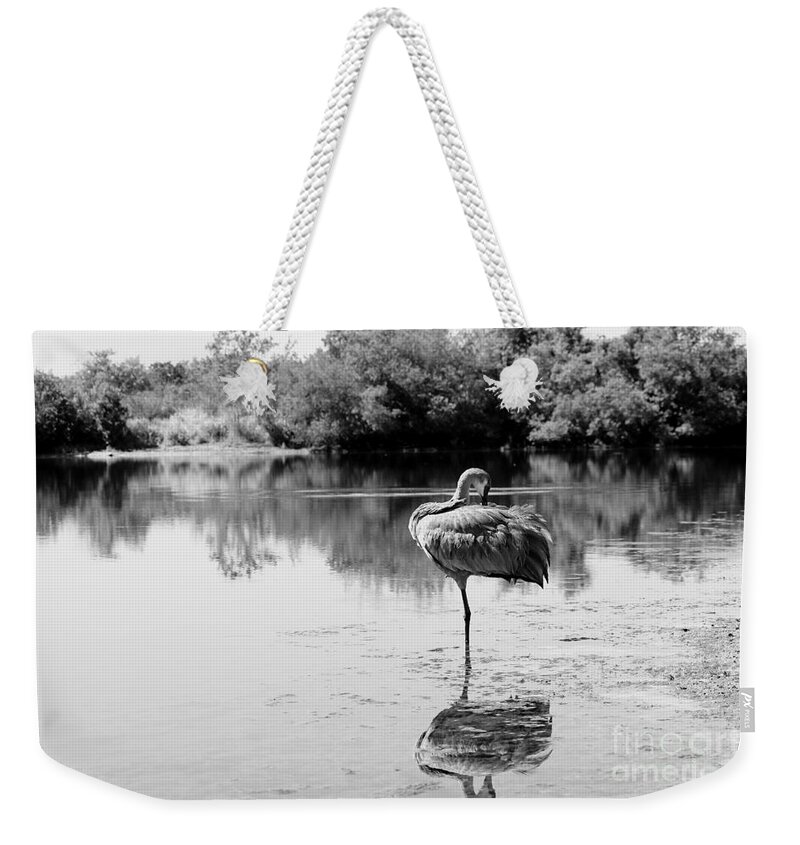 Sandhill Weekender Tote Bag featuring the photograph Lone Sandhill in Pond Black and White by Carol Groenen