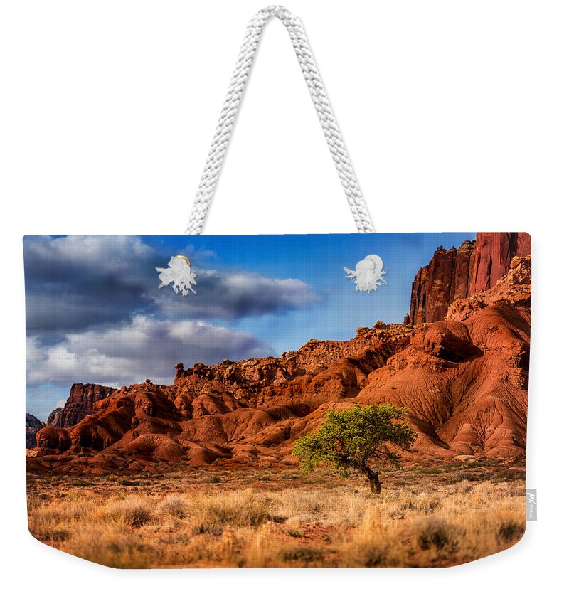 Capitol Reef National Park Weekender Tote Bag featuring the photograph Lone Tree at Capitol Reef by Dave Koch
