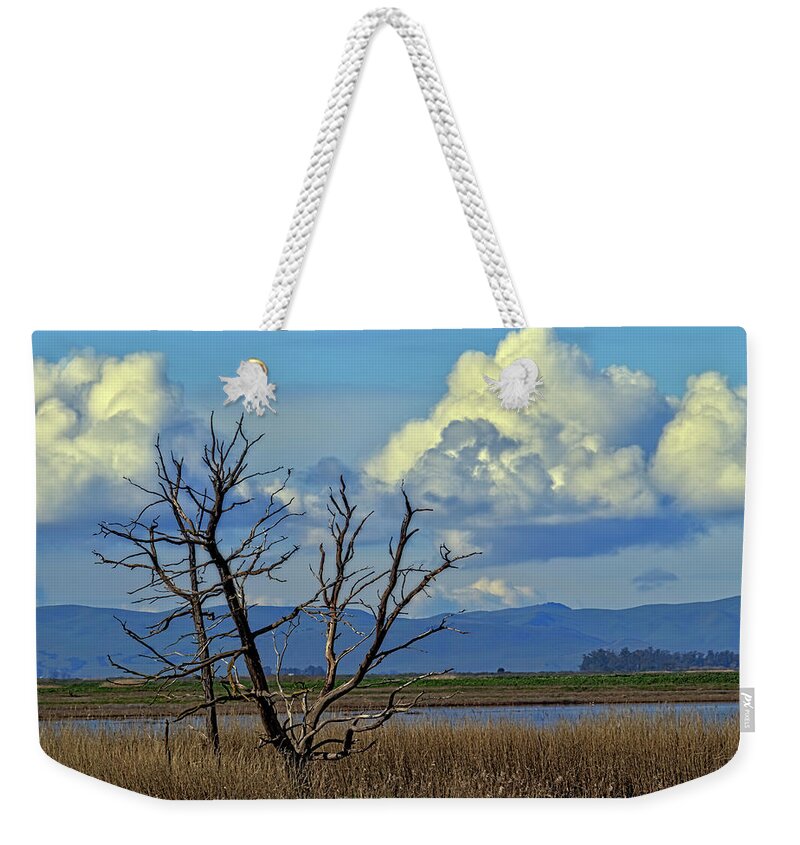 Slough Weekender Tote Bag featuring the photograph Lone Tree by Bruce Bottomley