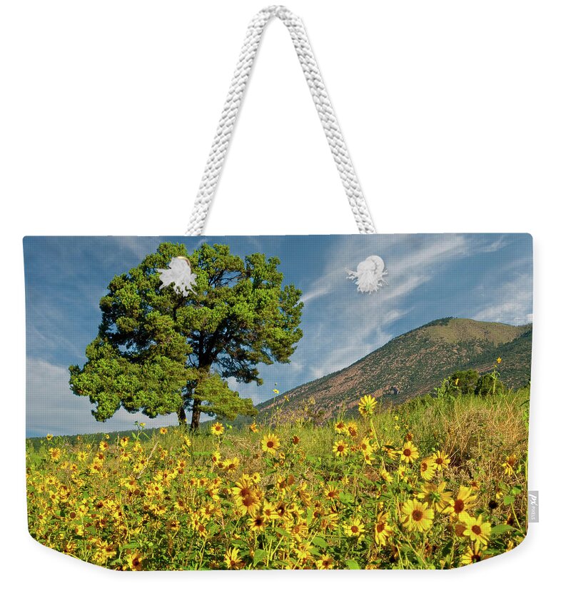 Arizona Weekender Tote Bag featuring the photograph Lone Tree in a Sunflower Field by Jeff Goulden