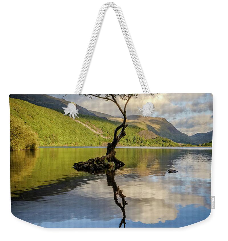 Gwynedd Weekender Tote Bag featuring the photograph Lone Tree, Llyn Padarn by Peter OReilly