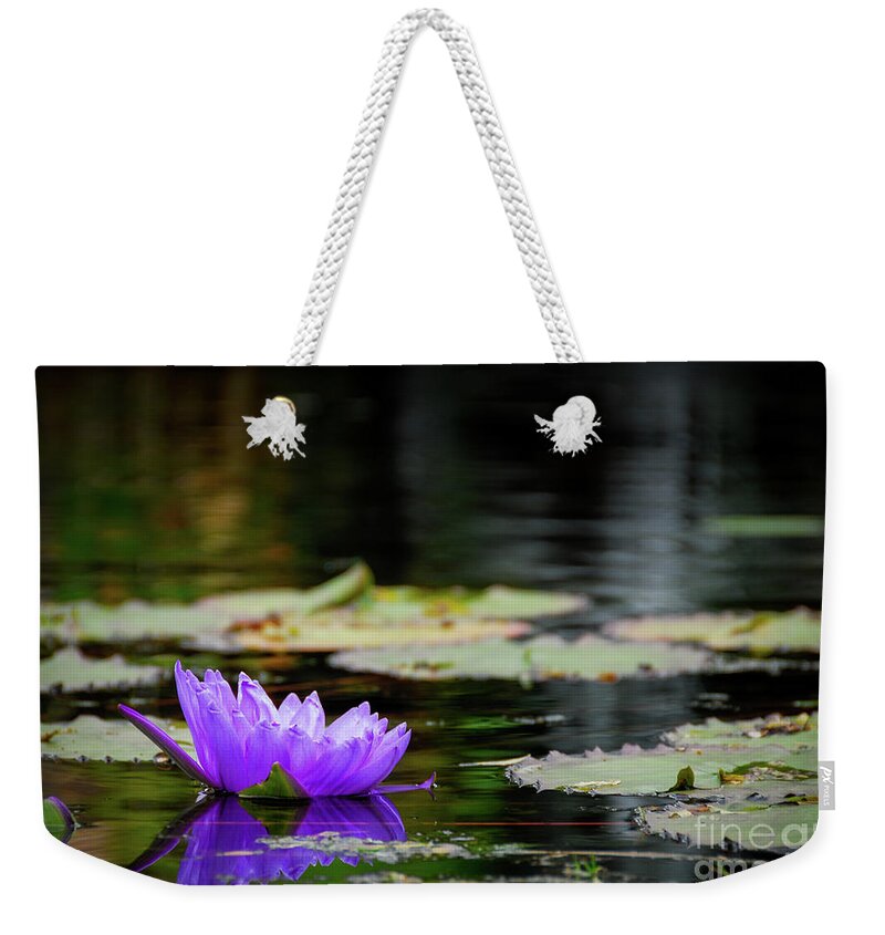 Dallas Weekender Tote Bag featuring the photograph Lone Water Lilly by Paul Quinn