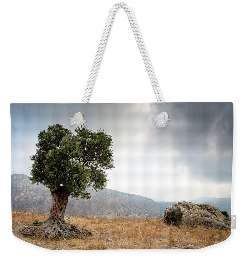 Single Tree Weekender Tote Bag featuring the photograph Lonely olive tree and stormy cloudy sky by Michalakis Ppalis