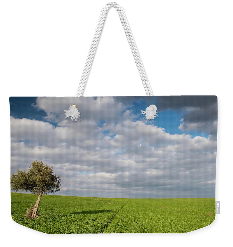 Olive Tree Weekender Tote Bag featuring the photograph Lonely Olive tree in a green field and moving clouds by Michalakis Ppalis
